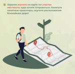 «Тихая охота» или поход за грибами – распространенное времяпрепровождение в летне-осенний период
