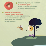 «Тихая охота» или поход за грибами – распространенное времяпрепровождение в летне-осенний период