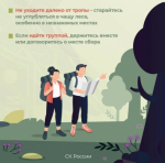 «Тихая охота» или поход за грибами – распространенное времяпрепровождение в летне-осенний период