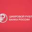 Федеральное казначейство начнёт работать с цифровым рублём - Башинформ