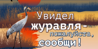 Региональное отделение Русского географического общества в Республике Башкортостан и Башкирское отделение Союза охраны птиц России запускают акцию «Увидел журавля – пожалуйста, сообщи!» - Башкирское отделение РГО