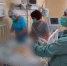 2-летний малыш в Башкирии отравился ядовитыми ягодами ландыша - ProUral.Info
