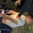 В Башкирии сотрудники ДПС задержали пешехода со свертками наркотиков - Башинформ