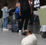 В аэропорту Уфы сняли ограничения на прием и выпуск самолетов - Комсомольская правда
