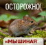 Минздрав Башкирии дал рекомендации, как уберечься от мышиной лихорадки - Сетевое издание Республика Башкортостан