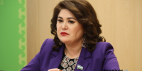 Гульнур Кульсарина назвала Главу Башкирии примером заботы о героях СВО - Башинформ