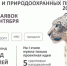Стартовал прием заявок на конкурс экологических и природоохранных проектов 2026 года - Минэкологии РБ