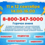 В Башкортостане пройдет горячая линия, посвященная дню трезвости - Министерство семьи, труда и соцзащиты населения