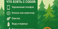 Госкомитет Башкортостана по ЧС рассказали, как безопасно собирать грибы - Сетевое издание Ufaved.Info