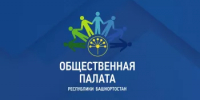 В Башкирии заработает Ситуационный центр по наблюдению за выборами - Общественная палата РБ