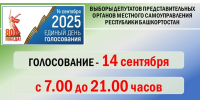 В Башкирии стартовали дополнительные выборы депутатов - Сетевое издание Республика Башкортостан