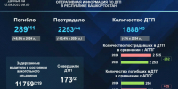 В Башкирии за неделю в авариях погибло 11 человек - Сетевое издание Республика Башкортостан