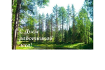 Хранители леса