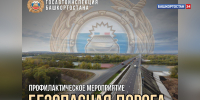 В Башкортостане пройдет профилактическое мероприятие «Безопасная дорога» | ГТРК «Башкортостан» - ГТРК Башкортостан