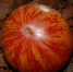 lovers-lunch - News102.Ru