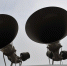 Россиян предупредили о включении сирен гражданской обороны 1 октября - Комсомольская правда