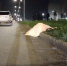 ГАИ РБ - Башинформ