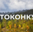 До 4 ноября продолжается приём работ на всероссийский фотоконкурс «Водные достояния России (осень) — 2025» - Агентство по печати и СМИ
