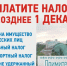 Заплатите налоги до 1 декабря! - ГАУЗ РКПЦ МЗ РБ