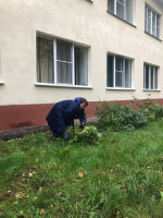 Субботник