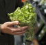 person-shopping-with-face-mask - News102.Ru