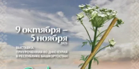День Республики: концерты, спектакли, выставки - Министерство культуры