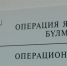 Ксения Калинина - Башинформ