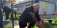 В Уфе появился новый сквер - Сетевое издание Республика Башкортостан