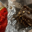 sweet - News102.Ru