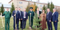 Нуримановский район отметил День Республики и юбилей района ярким праздником - Министерство лесного хозяйства