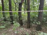 В башкирском селе ввели карантин из-за бешенства животных