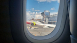 Уфимец сорвал отпуск целому самолёту