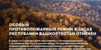 Особый противопожарный режим в лесах Республики Башкортостан отменен - Министерство лесного хозяйства