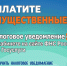 Заплатите имущественные налоги до 1 декабря 2025 года - Поликлиника №50
