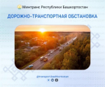 Дорожно-транспортная обстановка в Республике Башкортостан