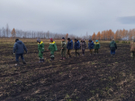 В Уфе «Горзеленхоз» показал, как выращивают живые изгороди
