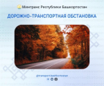 Дорожно-транспортная обстановка в Республике Башкортостан