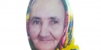 11 дней со дня исчезновения: 86-летняя женщина на выходных вышла из дома и пропала без вести - Комсомольская правда