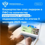 Башкортостан стал лидером в ПФО по количеству электронных сделок с недвижимостью по итогам 9 месяцев 2025 года