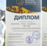 Представители Башкортостана заняли 7 призовых мест во Всероссийском конкурсе «АпиДар–2025» - Министерство сельского хозяйства