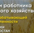 В Башкортостане пройдут торжественные мероприятия в честь Дня работника сельского хозяйства и перерабатывающей промышленности - Министерство сельского хозяйства