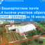 В Башкортостане почти 8,4 тысячи участков обрели четкие границы за 10 месяцев 2025 года - Уфимский район