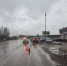 ГАИ РБ телеграм - Башинформ