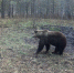 скриншот видео пресс-служба минэкологии РБ - Башинформ