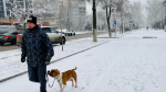 Зимние морозы подбираются к Башкирии