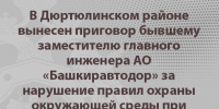 В Дюртюлинском районе вынесен приговор бывшему заместителю главного инженера АО «Башкиравтодор» за нарушение правил охраны окружающей среды при производстве земляных работ и превышение должностных полномочий - Следственный комитет