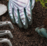 2147844306_dacha - News102.Ru