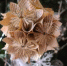 Акция «БумБатл» запускает новогодний конкурс елочных игрушек - Минэкологии РБ