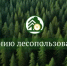 Вниманию лесопользователей! - Министерство лесного хозяйства