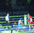 Спортсменки Башкортостана завоевали золото на Чемпионате России по боксу в Уфе | ГТРК «Башкортостан» - ГТРК Башкортостан
